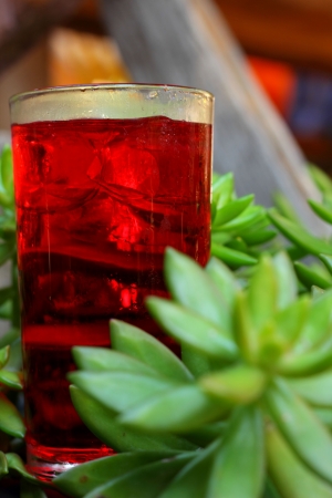 Red beverageの写真素材