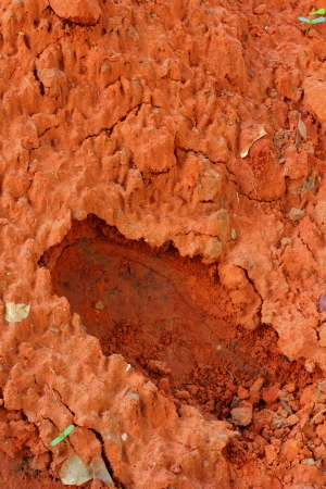 Sand backgroundの写真素材