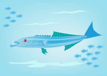 Cobia fishのイラスト素材