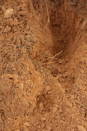 Soil backgroundの写真素材