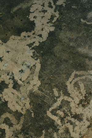 Cement background