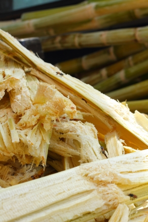 Cane backgroundの写真素材