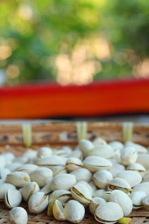 Pistachio nuts の写真素材
