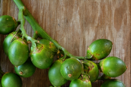 Betel palm on wood の写真素材