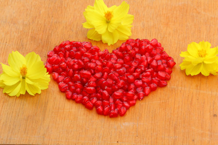 pomegranate の写真素材