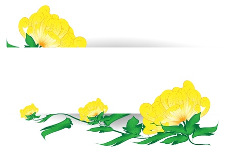 Chrysanthemum flowers - cardのイラスト素材