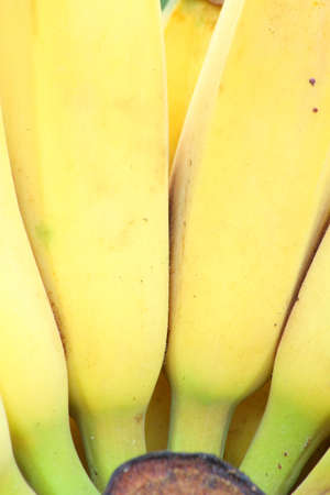 Bananas Close up の写真素材