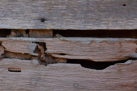 Old wood background