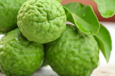 Kaffir の写真素材