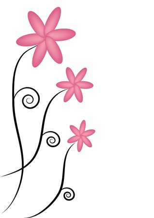 Pink flowers のイラスト素材
