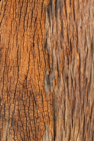 Old wood background
