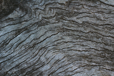 Old wood backgroundの写真素材