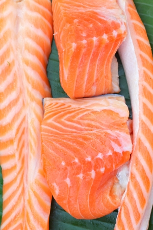 Salmon fishの写真素材