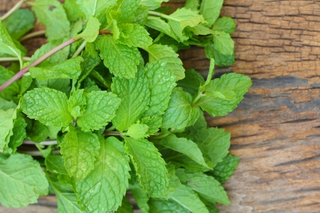 Pepper mint leaves on old wood backgroundの写真素材
