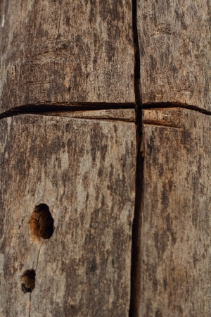 Old wood backgroundの写真素材