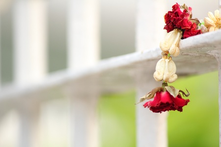 red rose flowers - garlandの写真素材