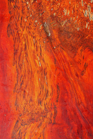 Old wood backgroundの写真素材