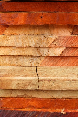 pile of cut wood stumpの写真素材