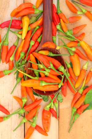 Chili Pepperの写真素材