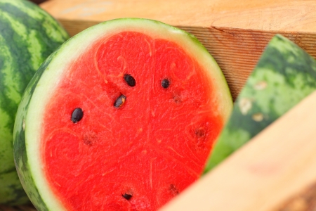 Watermelonの写真素材