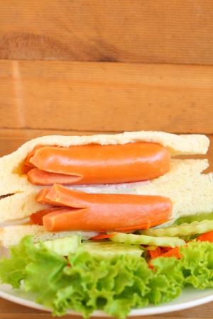 Sandwich with sausageの写真素材