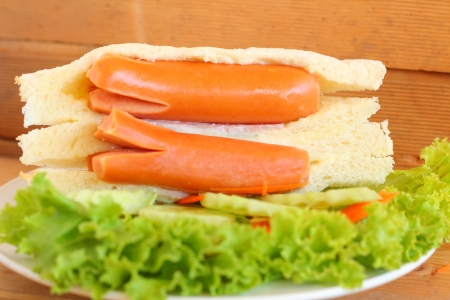 Sandwich with sausageの写真素材