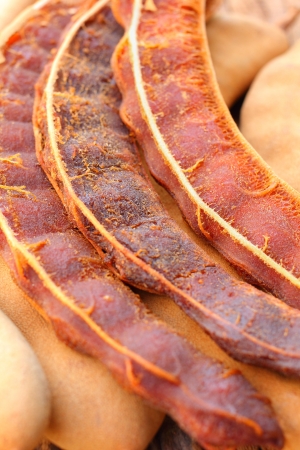 Ripe tamarind fruitの写真素材