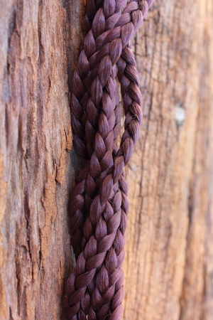 Braid decoratedの写真素材