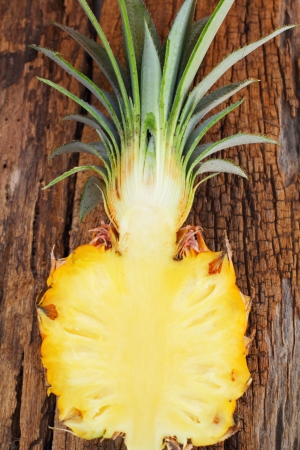 Pineappleの写真素材