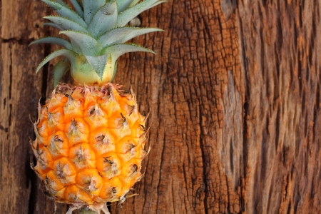 Pineappleの写真素材
