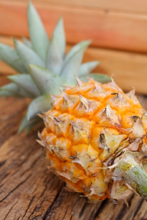 Pineappleの写真素材