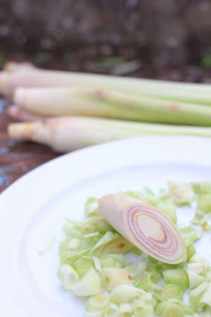 Close up of lemon grassの写真素材