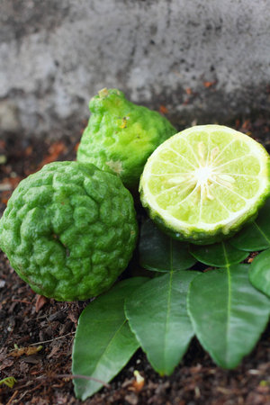 Fresh kaffir and leech lime