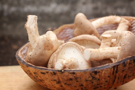 Fresh shiitake mushroom on wood backgrongの写真素材