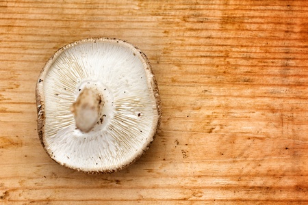 Fresh shiitake mushroom on wood backgrongの写真素材
