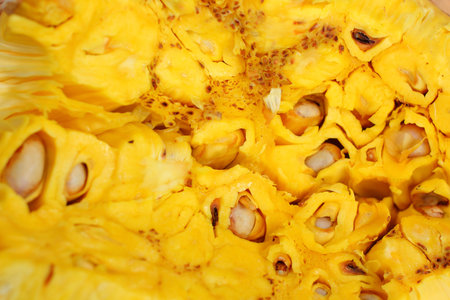 Yellow jack fruit blackground textureの写真素材