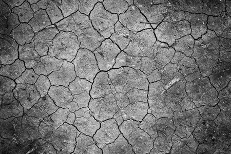Closeup of cracked dry soil
