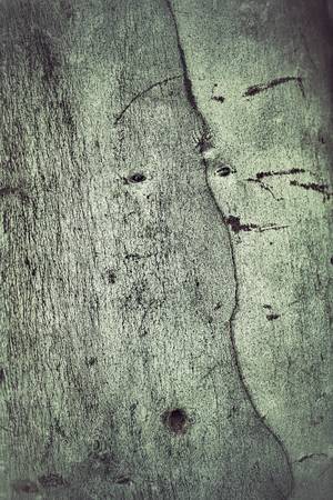 Vintage old wood background textureの写真素材