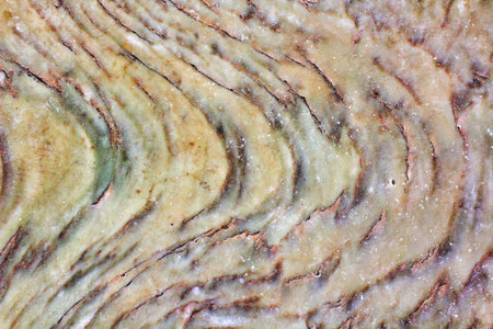 Black and brown marble background