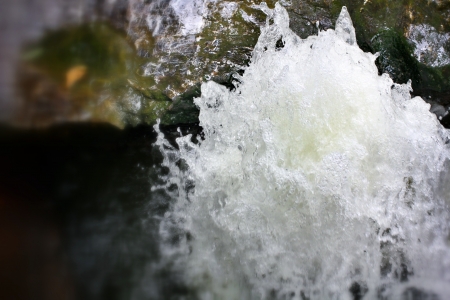 Waterfall and leaf in natureの写真素材