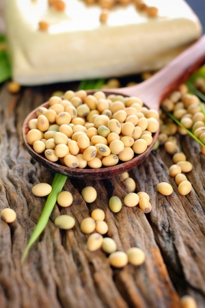 Soybeans and tofu on wood backgroundの写真素材