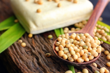 Soybeans and tofu on wood backgroundの写真素材