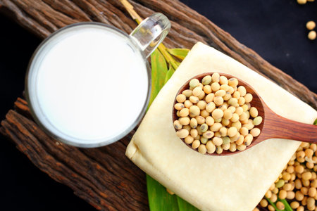 Soybeans and tofu on black backgroundの写真素材
