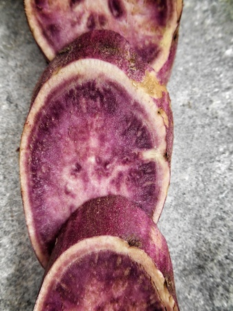 Sweet potato on wood backgroundの写真素材