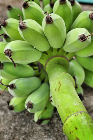 Banana fruit on the gray backgroundの写真素材