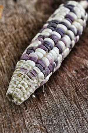 Purple corn on wood backgroundの写真素材