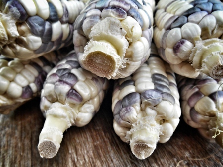 Purple corn on wood backgroundの写真素材