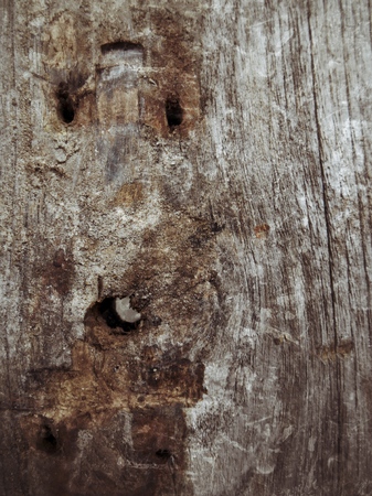 Brown old wood background textureの写真素材