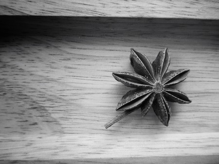 Star anise on black backgroundの写真素材