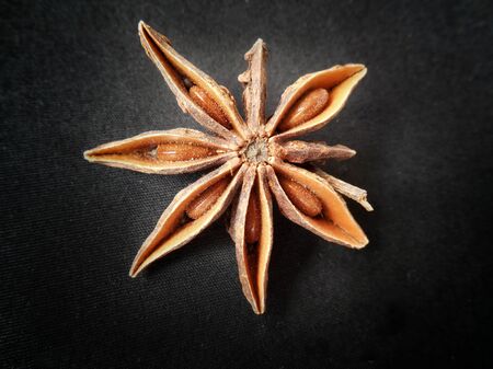 Star anise on black backgroundの写真素材